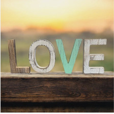 Distressed Farmhouse Rustic 6  Wood LOVE Letters Home Decor