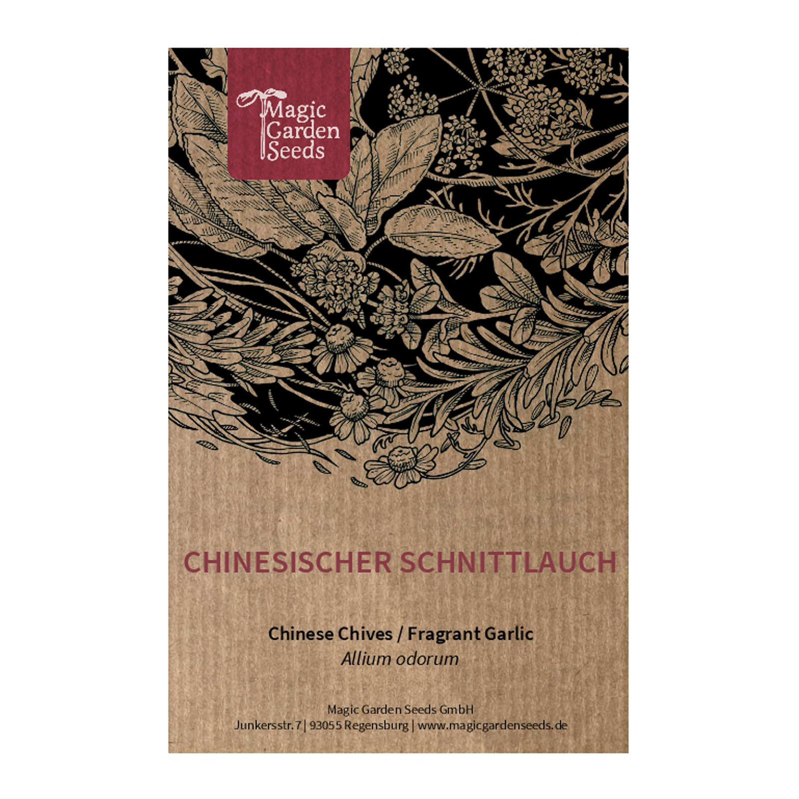 Cebollino chino (Allium odorum) - aprox. 90 semillas