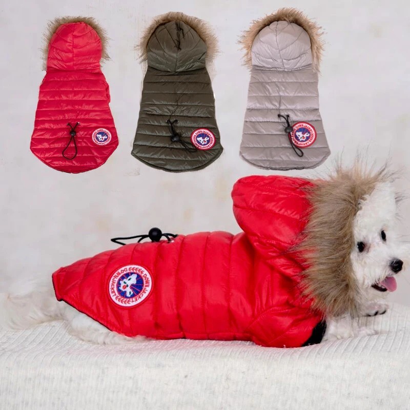 Pet Apparel Canada Goose Dog Jacket Red Canada Goose Dog Jacket Uk