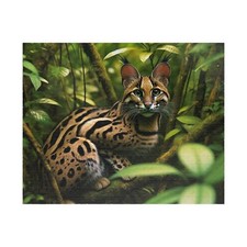 Wildlife Puzzle - 500 Piece Puzzle - Jungle Cat Scene