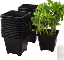 25 Packs Square Nursery Pots for Plants 3.5 Inch Succulent Plant Pots Set Plasti