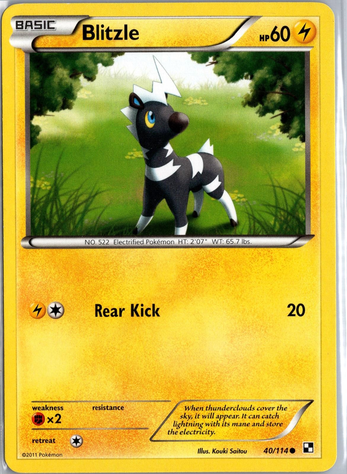 Blitzle 40/114 Common Black & White Pokemon Moderately Played