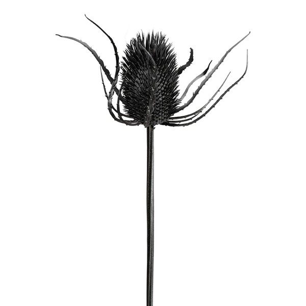 KüNstlicher Kardendistelzweig, 3Er Set, Farbe Schwarz, HöHe Ca. 73 Cm-image