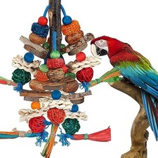 Parrot Chew Toy Natural Corn Cob Nut