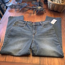 GLORIA VANDERBILT AMANDA SUPREME STRETCH JEANS WOMEN'S SIZE 10P Short