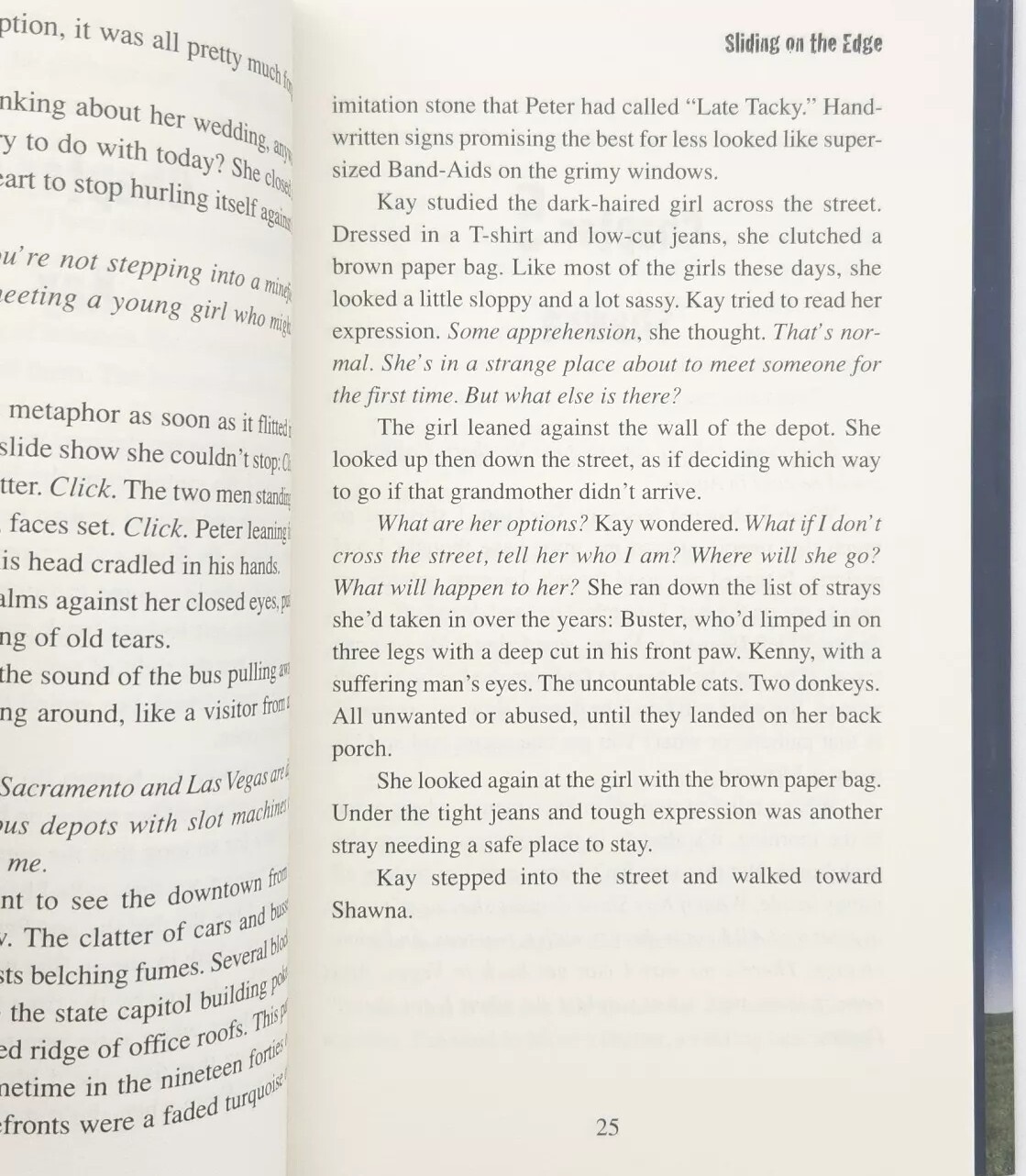 Sliding on the Edge By C. Lee McKenzie FIRST EDITION 2009 Hardcover Book thumbnail 15