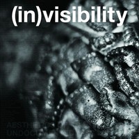 . | (In)Visibility | Taschenbuch | Englisch (2026) | Einband - Flex.(Paperback)