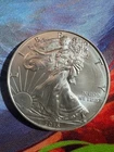 2015 WALKING LIBERTY AMERICAN EAGLE .999 FINE SILVER DOLLAR COIN 1 oz USA