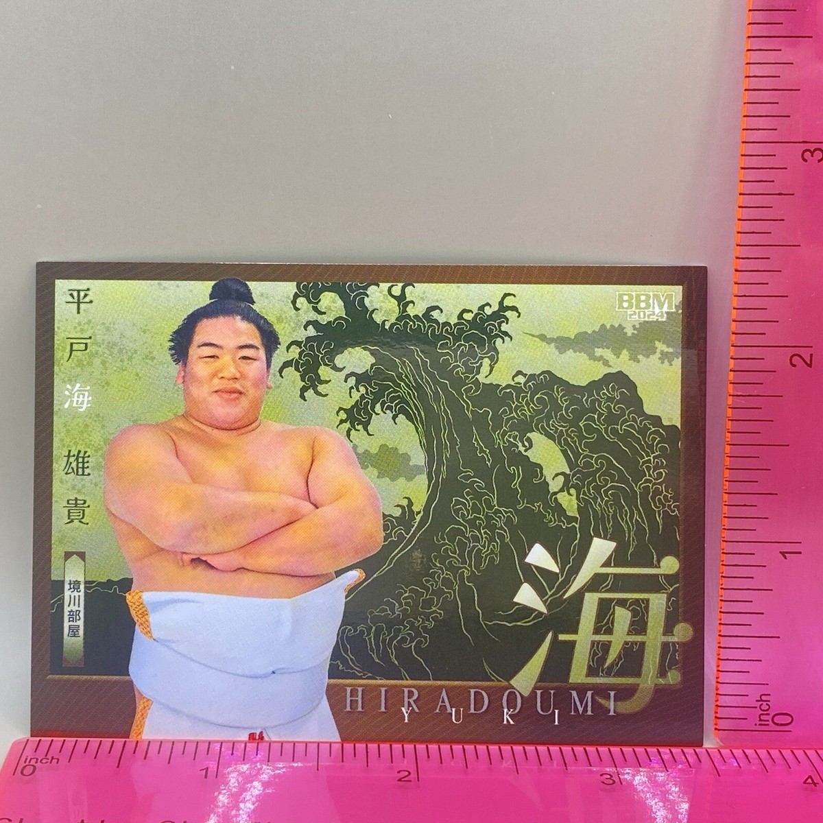 BBM Sumo Wrestling Card Yuuki Hiradoumi 2024 Sea Castle Bridge