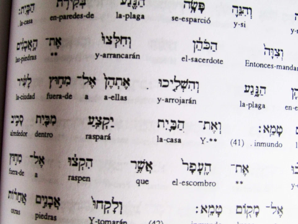 TORAH (Pentateuco) interlineal Hebreo - Español - Imagen 2 de 4