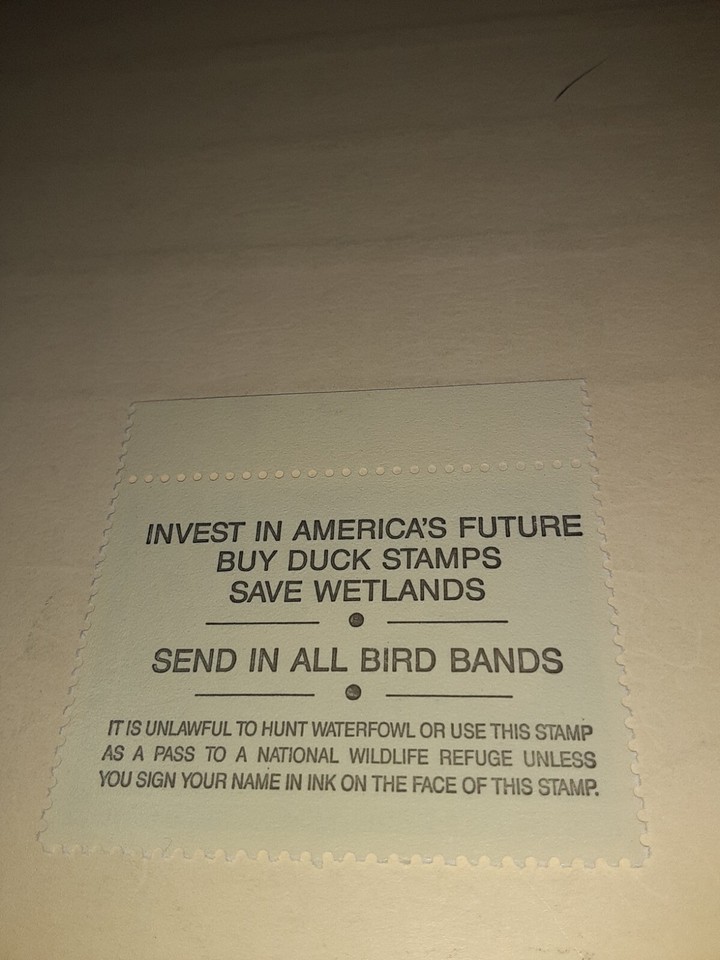 SL 8675/ US Stamp MNHOG RW 61 Duck Stamp us stamps collections lots | eBay