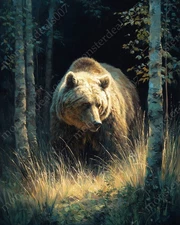 Grizzly Bear Forest Poster, 7 Sizes, Wildlife Art Print Kodiak Nature Wall Decor