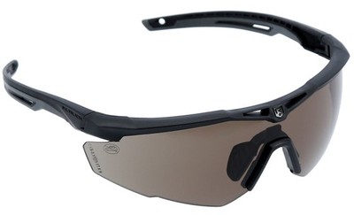 Revision Stingerhawk I-VIS  ALTO Basic Kit (Schutzbrille)