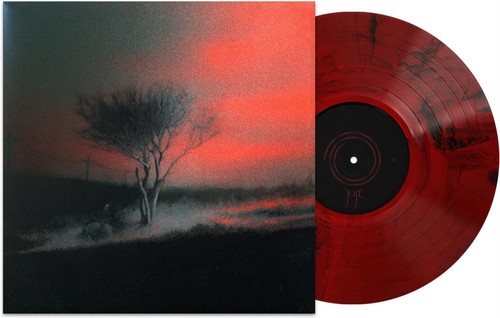 Piss In The Wind - Joji (Vinile) prezzo ebay