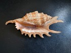 Bild 2 von 6