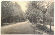 New Jersey Postcard 1907 RARE Hammonton Bellevue Avenue 