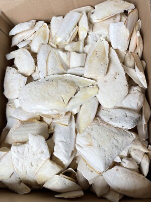 500g Sepiaschalen zerbrochen (sehr große Stücke, Keine Brösel)