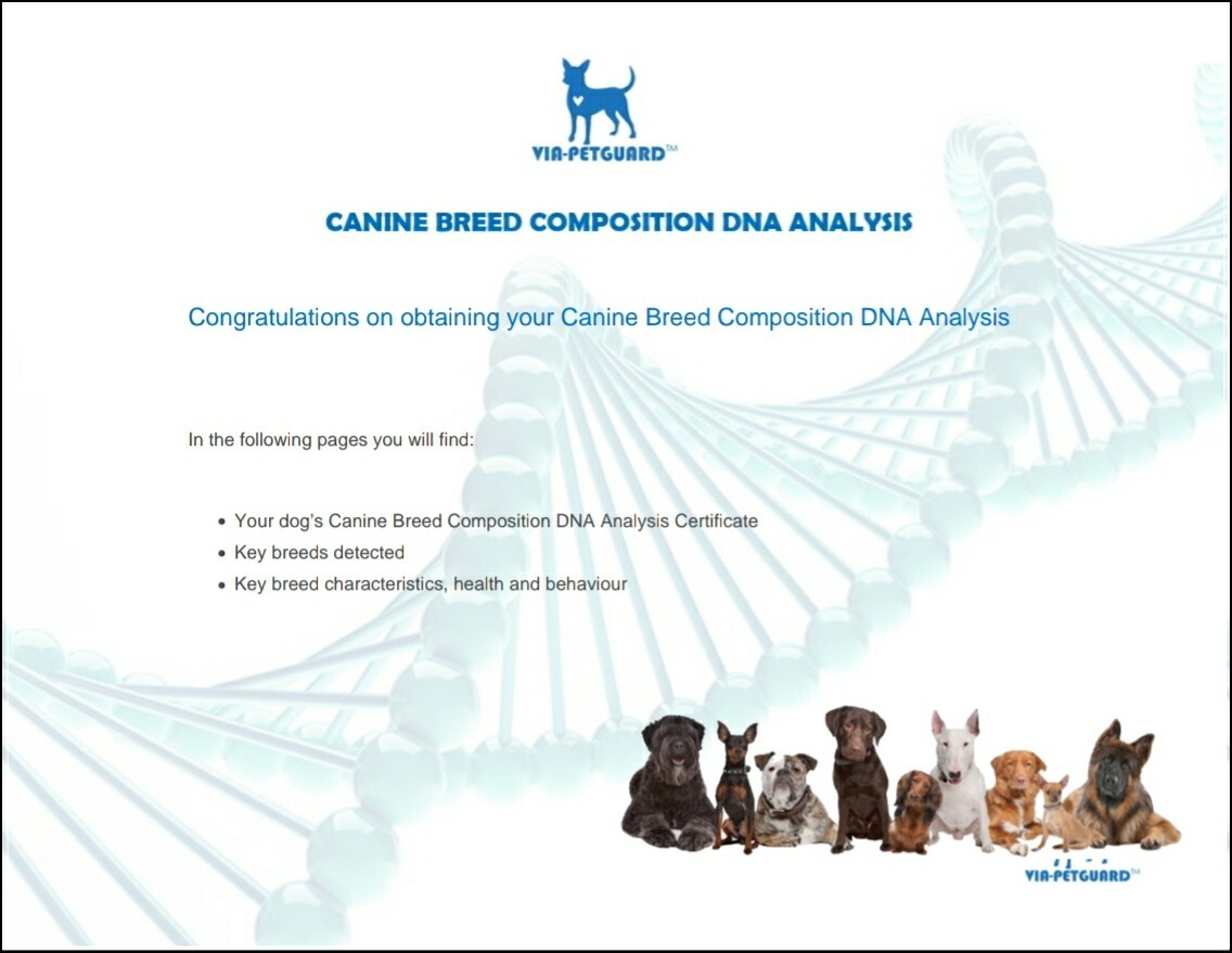 Canine DNA TEST KIT Viaguard swab Dog full breed composition certificate x 1 kit - Picture 9 of 16