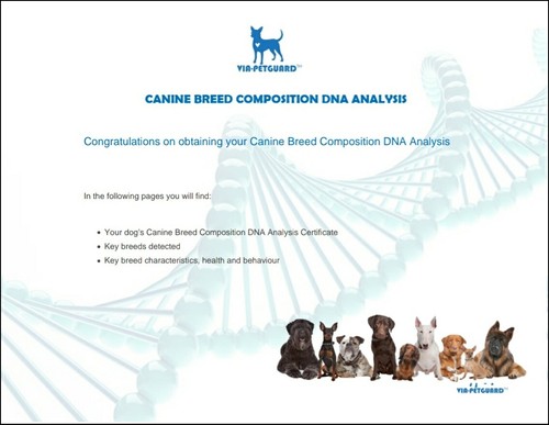 accumetrics dog dna