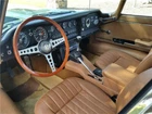 Monogram Revell 1/8 Scale Jaguar XKE E-Type Full Interior Carpeting Transkit