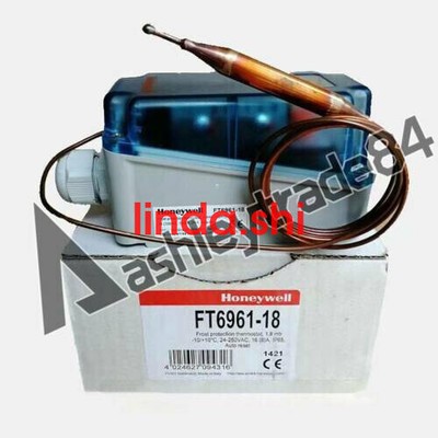 1PCS NEW   FT6961-18 low temperature protection controller #W1
