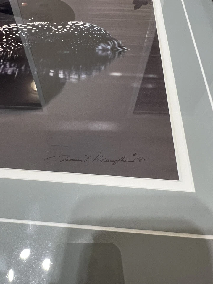 Thomas Mangelsen Common Loon Limited Edition Framed print 11x14 - Image 3 of 4