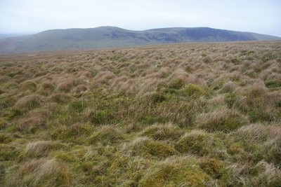 Foto A2 Moorlandschaft über Little Aygill Hazel Sike Das Gras ist das Büschel um 2014