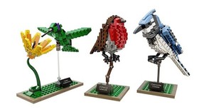 LEGO 21301 Ideas Birds Model Kit