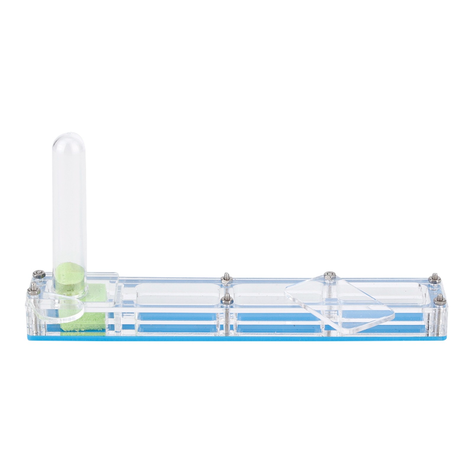 Acrylic Ant Breeding House Formicarium Display Box With Water Tower M KRI✈️
