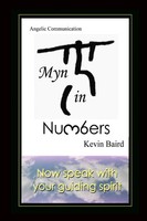 Kevin Baird | Myn In Numbers | Taschenbuch | Englisch (2009) | Kevin J. Baird