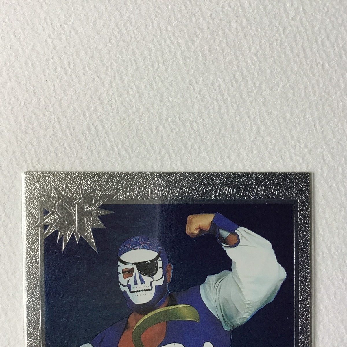 リトㇽジヤマ ―プロ　ゲスト、ボ―ヵリスト BBM Wrestling Card 1997 Sparkling Fighters Dick Togo Kaientai