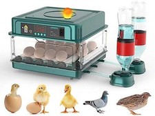 Incubators for Hatching Eggs, Egg Incubator with Automatic Egg Turning and Humid
