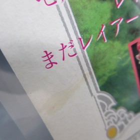 Magic Knight Rayearth Sega Saturn Limited Edition with Manual Japanese Version
