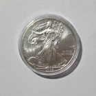 2009 $1 American Eagle 1 oz Silver Dollar Coin Walking Liberty listing #QR