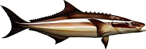 Cobia Beautiful Vinyl Sticker Fish Decals for Boat Car Vehicle Truck Fishing - Picture 3 of 13