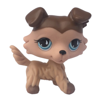 lps collie 893