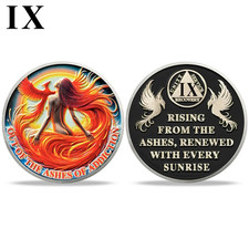 Phoenix 9 Year AA Chips Medallions Nine Years Recovery Token Sobriety Coin Gift