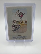 2010 Topps Allen & Ginter's TONY HAWK ROOKIE #54