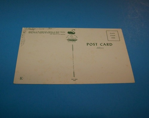 Postal vintage de teatro submarino Weeki Wachee Spring, Florida - Imagen 2 de 2