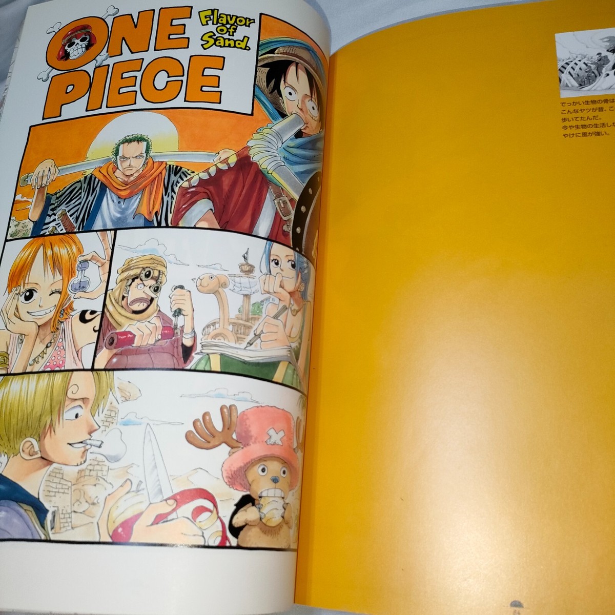 ONEPIECEワンピース　COLORWALK 全巻 新品 / ワンピース ONE PIECE 尾田栄一郎画集 COLORWALK (全10冊