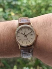 Omega Seamaster 196.0251 Gold Waffle Texture Dial Mens Quartz Watch - Serviced