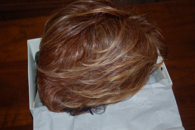 Raquel Welch Wig Sheer Indulgence for Women RL31/29 40272 AVG