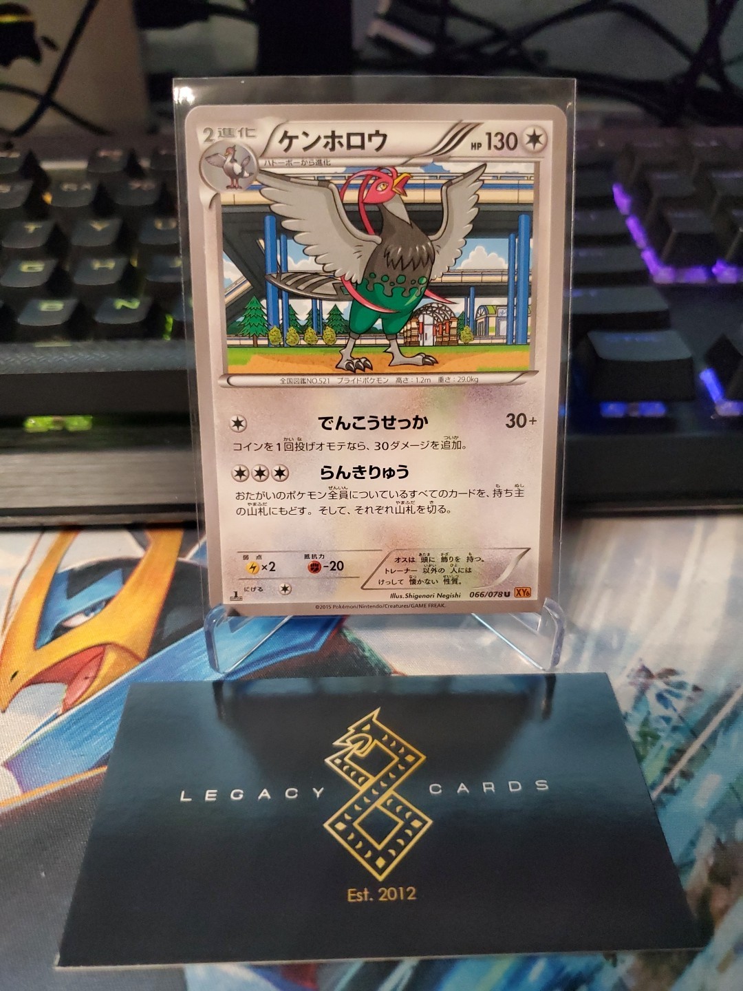 (Japanese) Unfezant 066/078 U - XY6 Emerald Break 1st Edition - Pokémon TCG (NM)