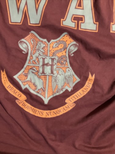 Camiseta HARRY POTTER Mangas Largas - Grande para Hombre - Con Emblema de Hogwarts - Imagen 2 de 5