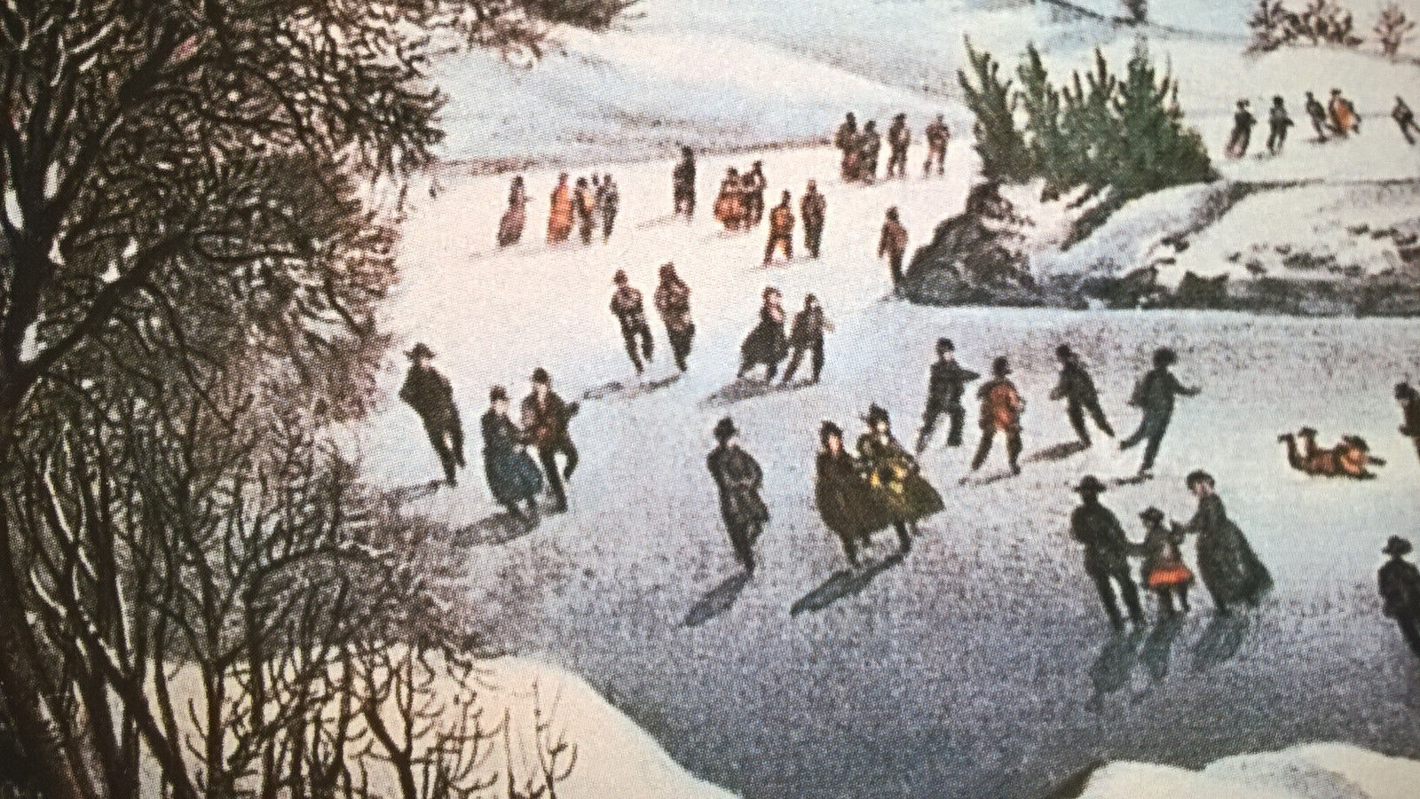Picture 16 of 24