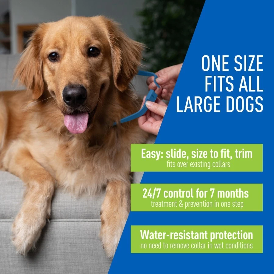 Adams Plus Flea & Tick Collar For Dogs Large Puppies Adult 7 Month Protection - Image 3 of 4