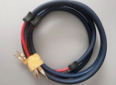 PS Audio xStream Statement Lautsprecherkabel - 2m Paar