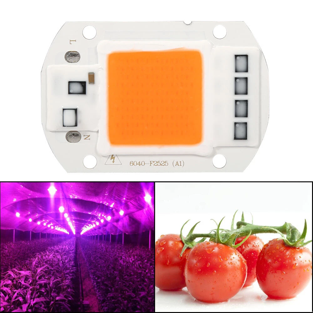 50w cob led grow light deals