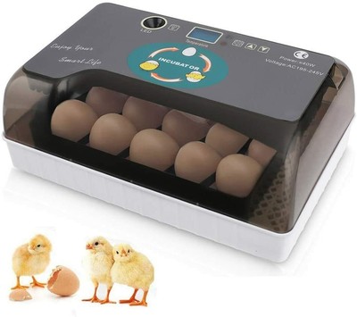 Digitale Mini-Ei-Brut Automatische Egg Incubator Für Chicken Ente Vögel, 12 Eier