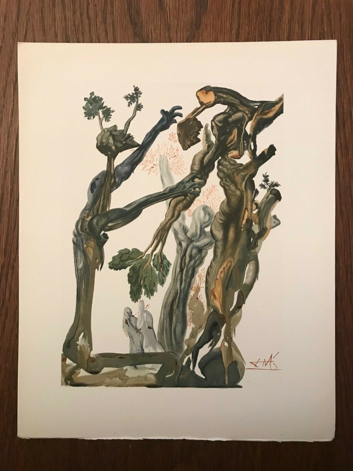 Foto 1 di 1